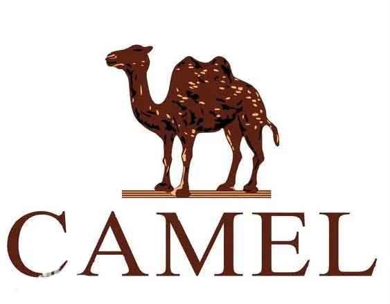 camel fabric supplier