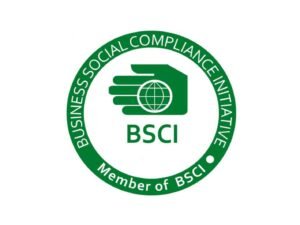 BSCI logo